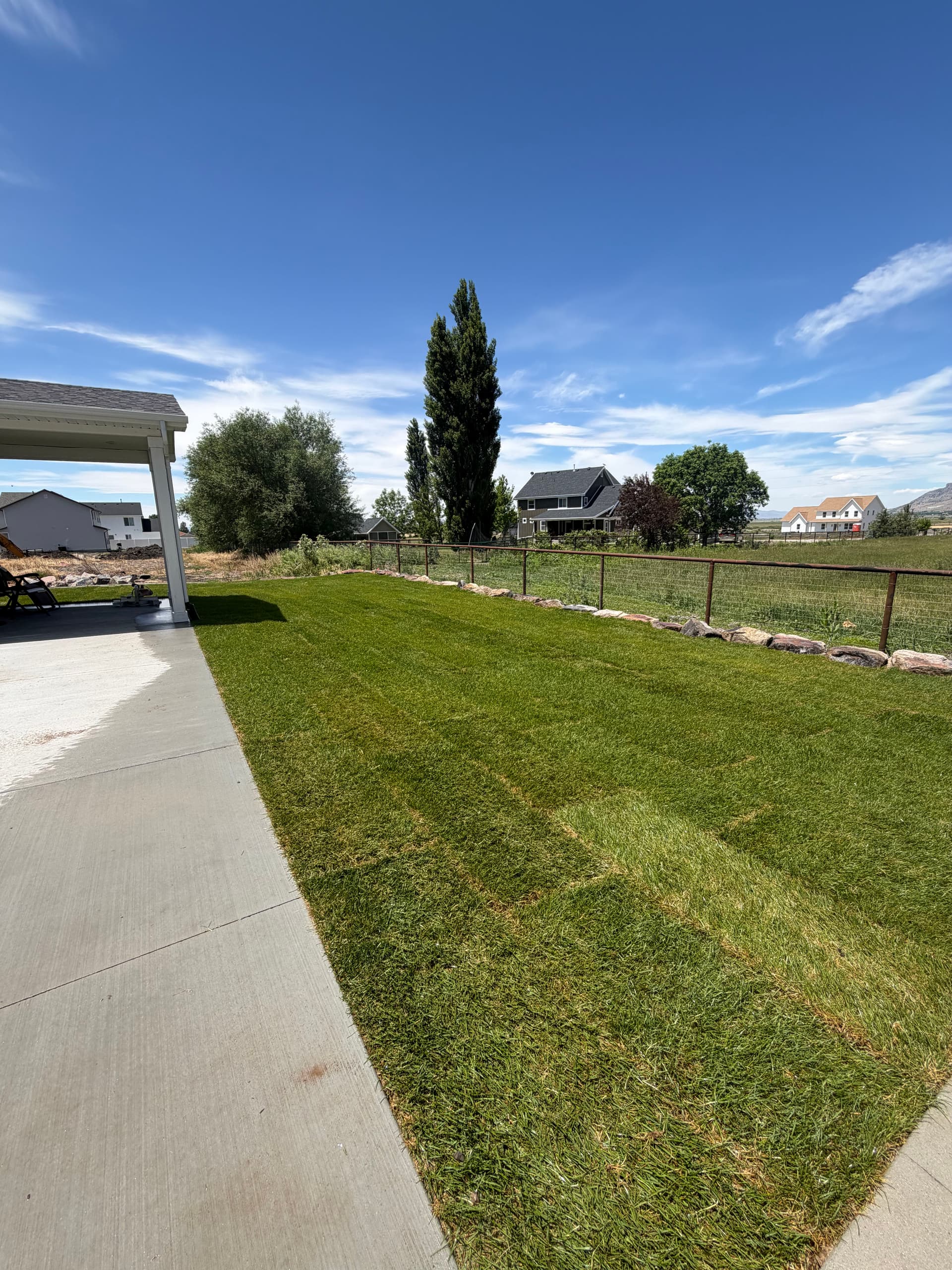 Gallery photos for Two Neighboring Yards Built from Bare Dirt Up: Image #4