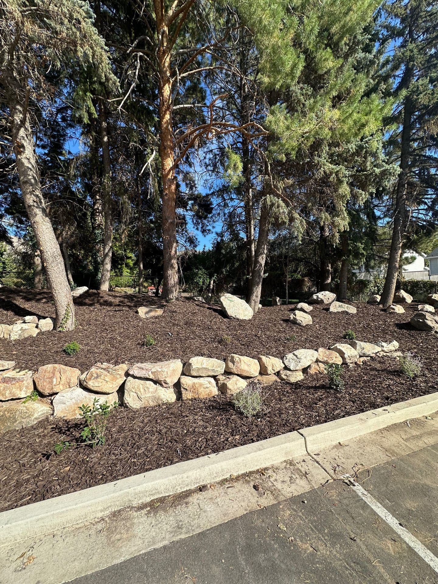 Gallery photos for Hexa Pavers and Rock Features Revamp Outdoor Space: Image #6