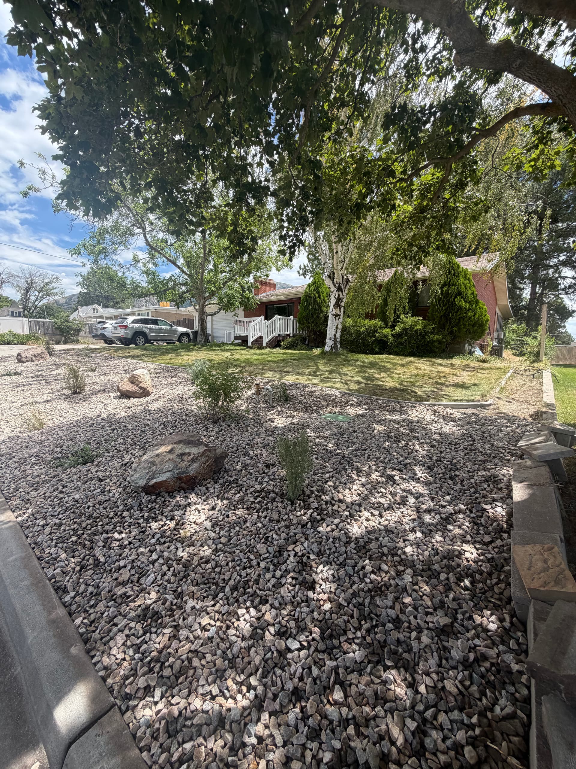 Gallery photos for Smart Irrigation and Native Plant Xeriscape Front Yard Upgrade: Image #2