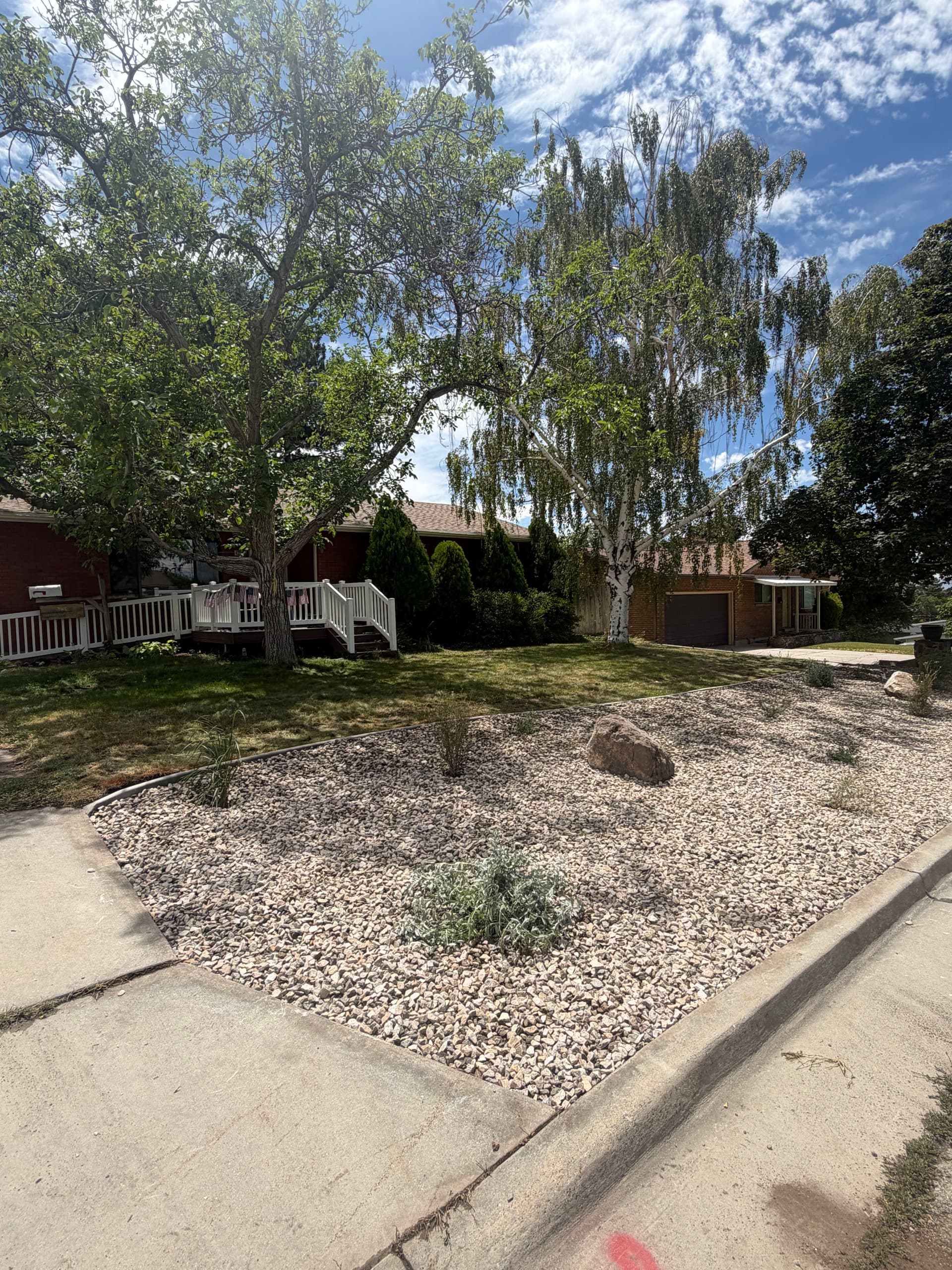 Smart Irrigation and Native Plant Xeriscape Front Yard Upgrade image
