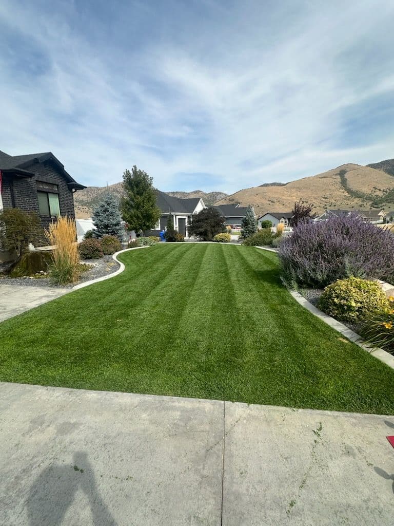 Stunning Lawn Transformation with Sod Installation