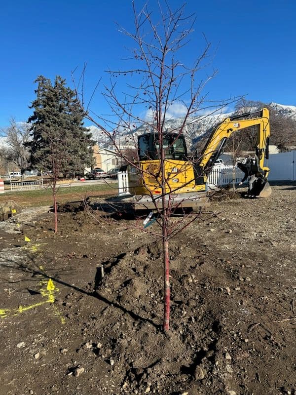 Outdoor Play Space Transformation