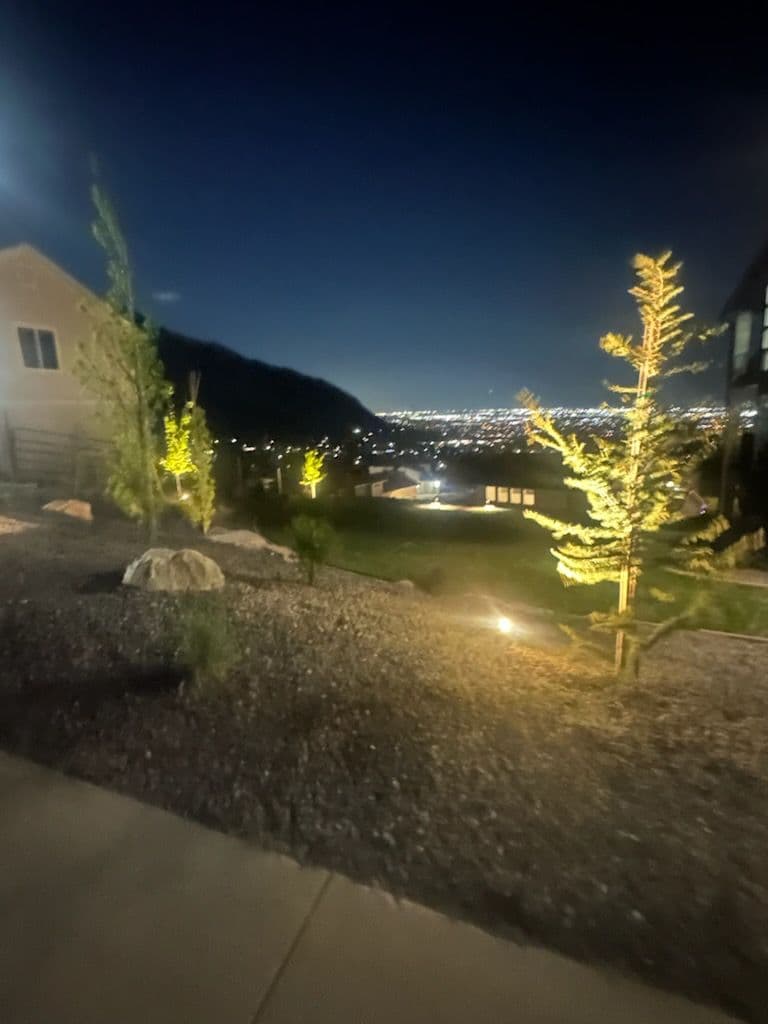 Elegant Outdoor Lighting