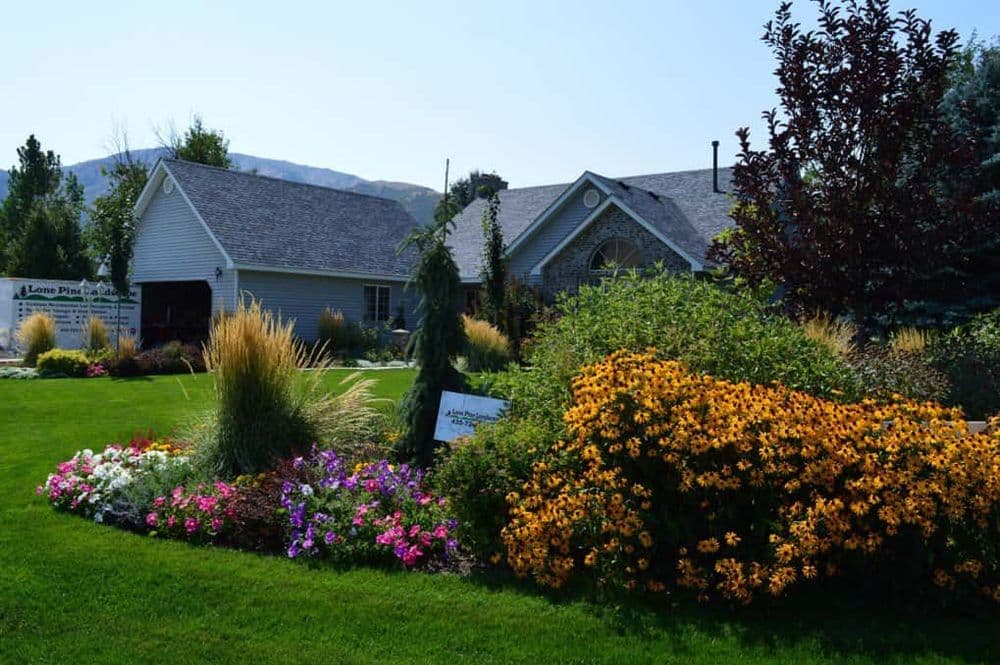 Colorful flower garden in front of a welcoming house with scenic mountains in the background.