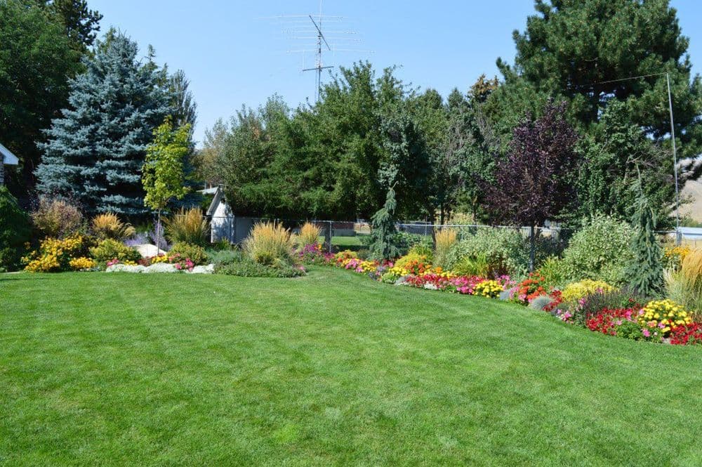 Lush garden with colorful flowers, manicured lawn, and tall trees under a clear blue sky.