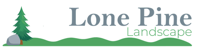 Lone Pine Landscape