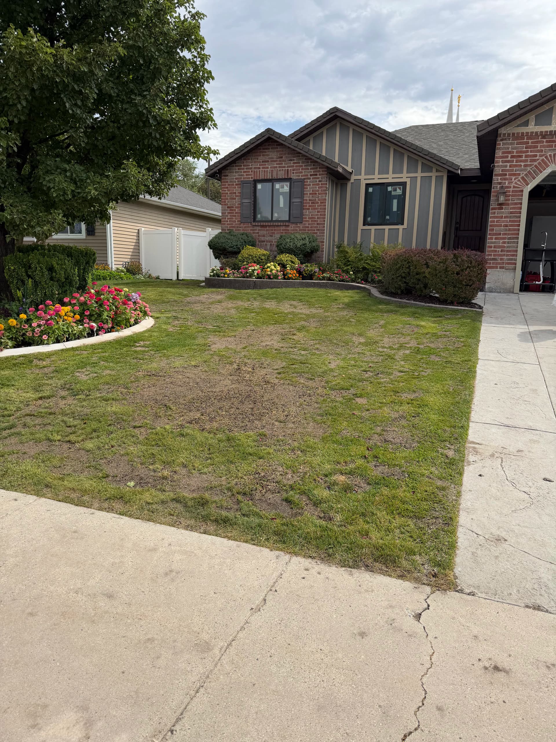 Gallery photos for Fresh Sod and Lawn Renovation After a House Addition: Image #3
