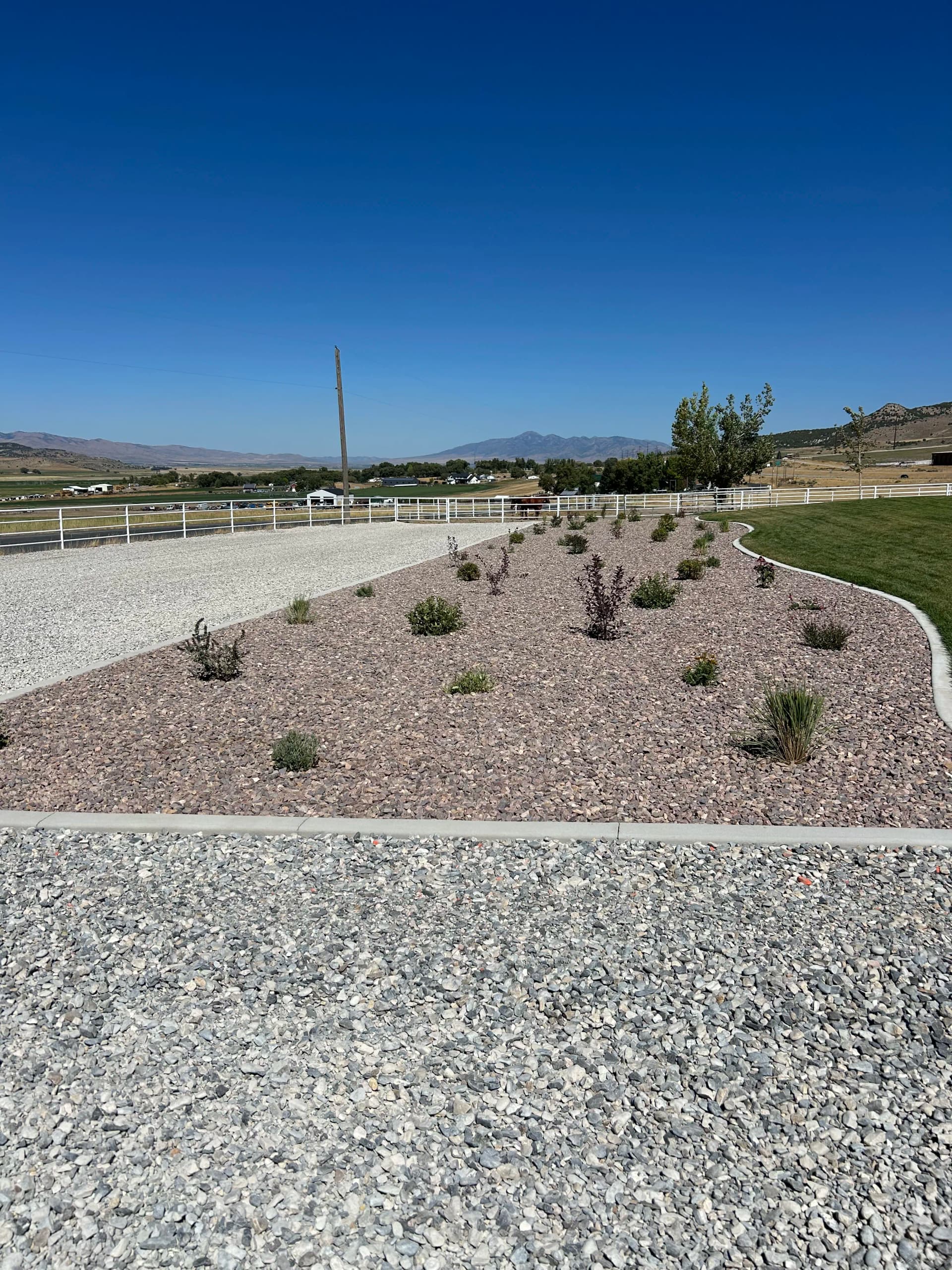 Gallery photos for Xeriscape Expansion with New Shrubs, Gravel, and Drip Irrigation: Image #2