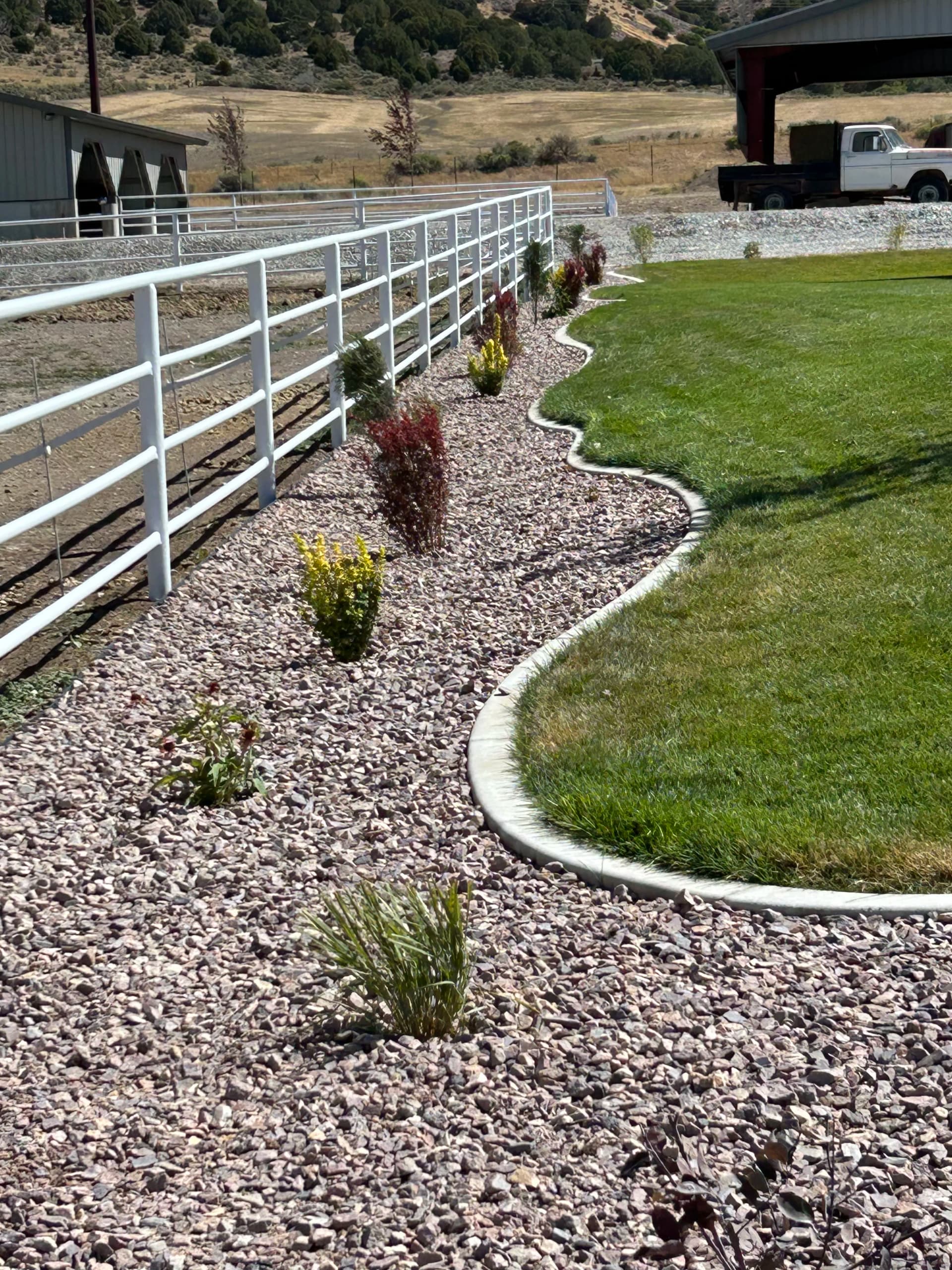 Gallery photos for Xeriscape Expansion with New Shrubs, Gravel, and Drip Irrigation: Image #4