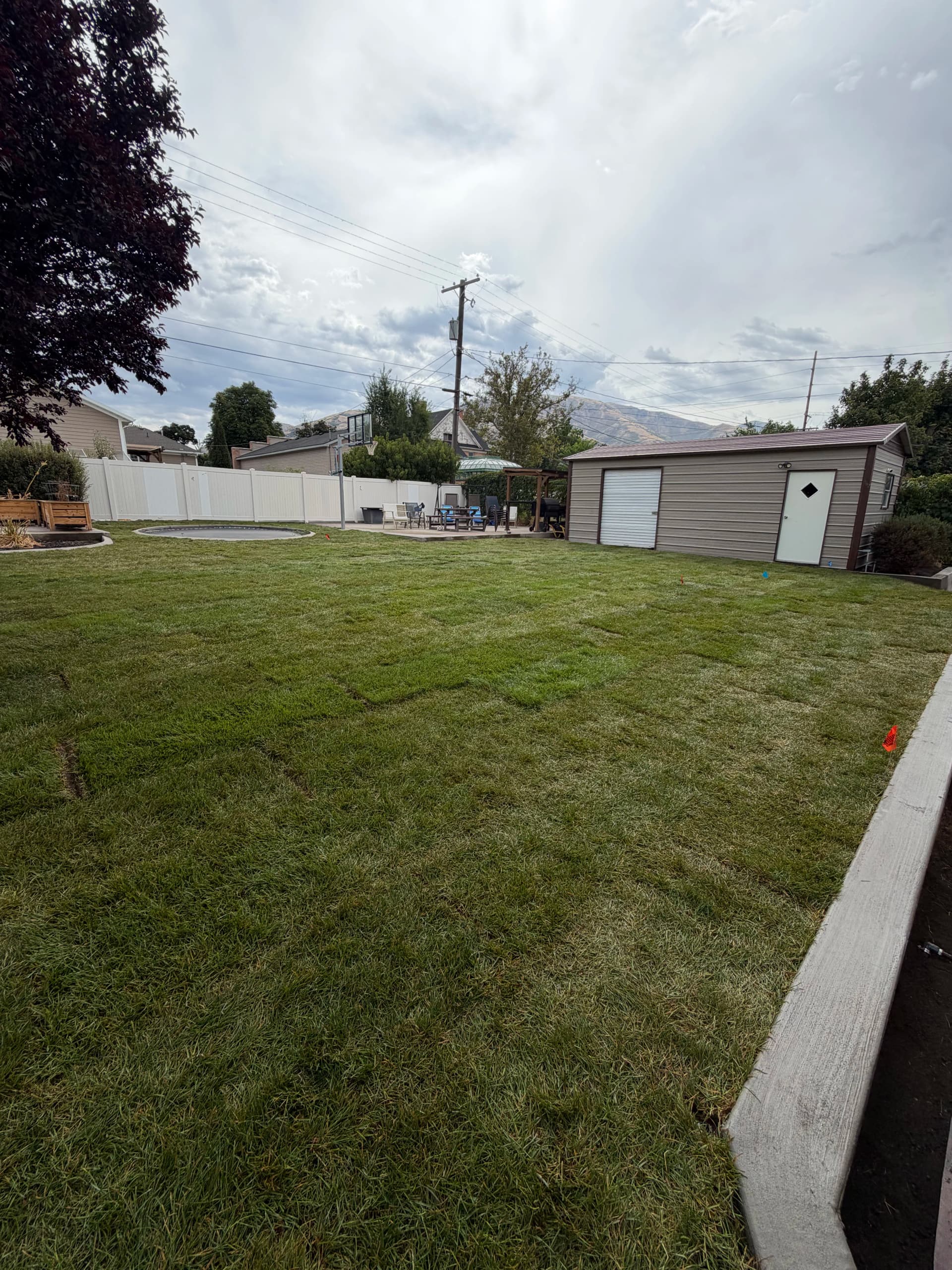 Fresh Sod and Lawn Renovation After a House Addition image