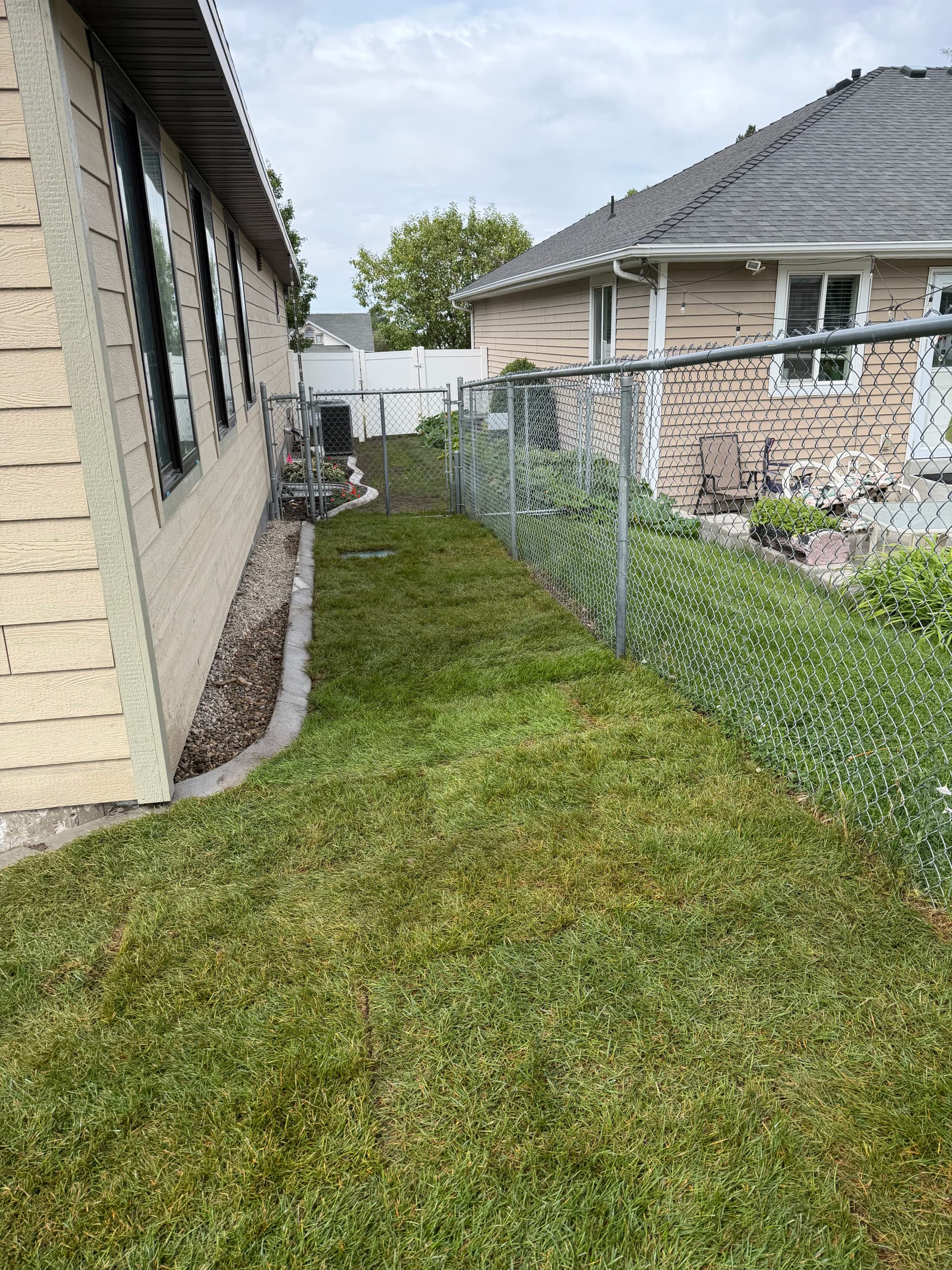 Gallery photos for Fresh Sod and Lawn Renovation After a House Addition: Image #2