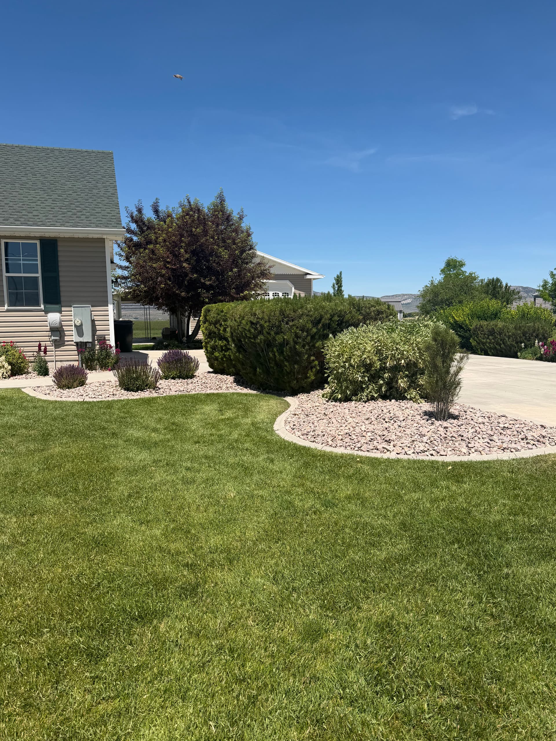Gallery photos for Fresh Mulch and Decorative Rock That Actually Makes a Difference: Image #6