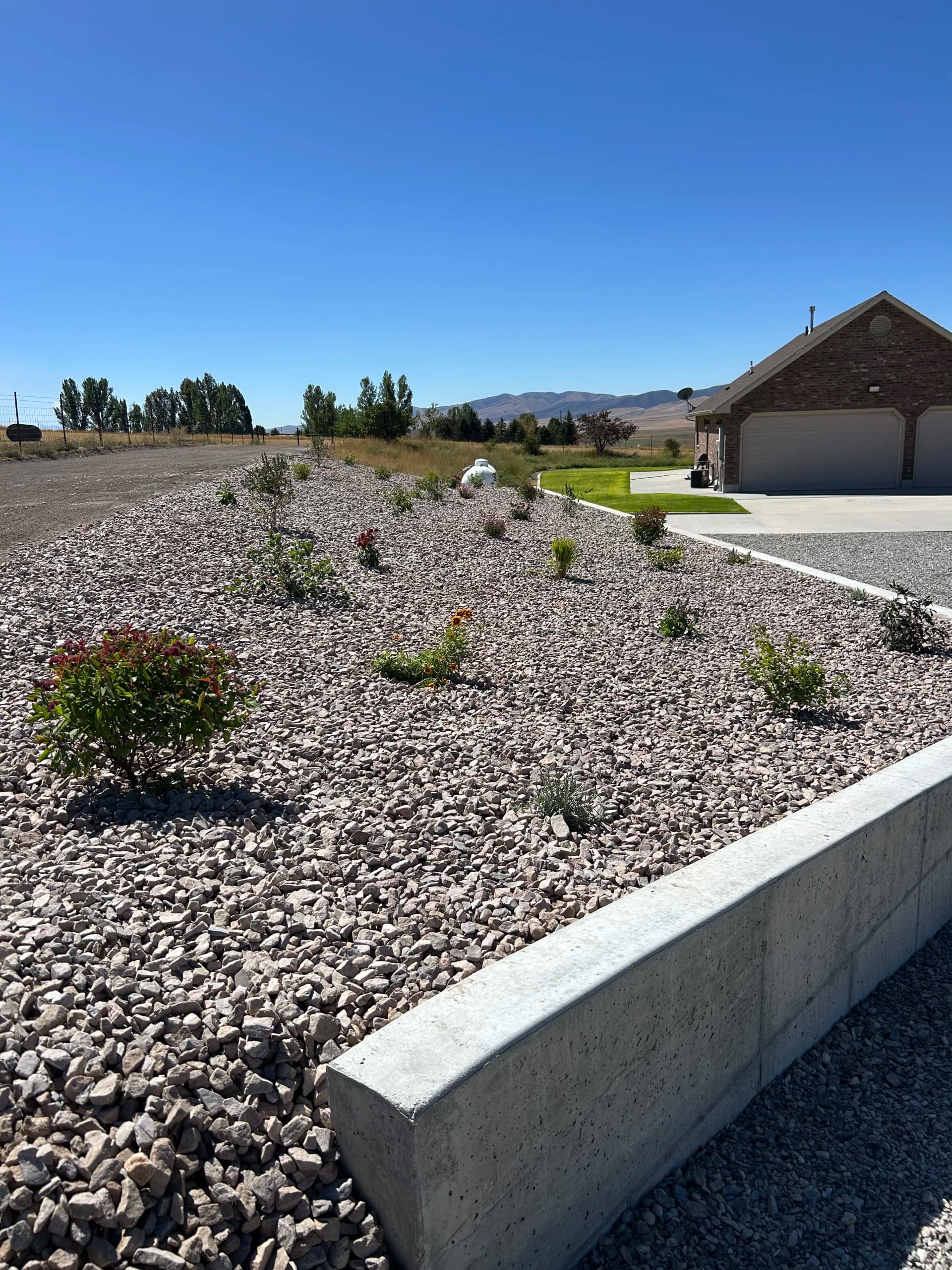 Xeriscape Expansion with New Shrubs, Gravel, and Drip Irrigation image